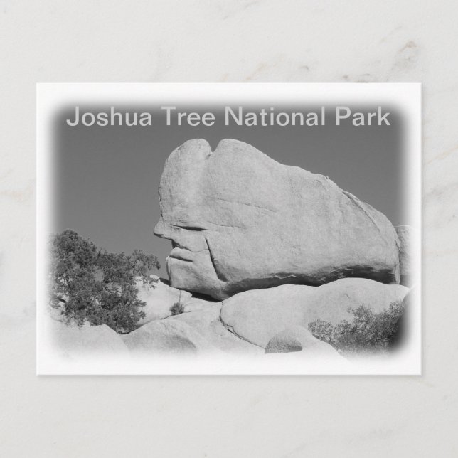 Joshua Tree Nationalpark vykort! Vykort (Framsida)