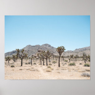 Joshua Tree Park Affisch Poster Papper (Semi-Glans