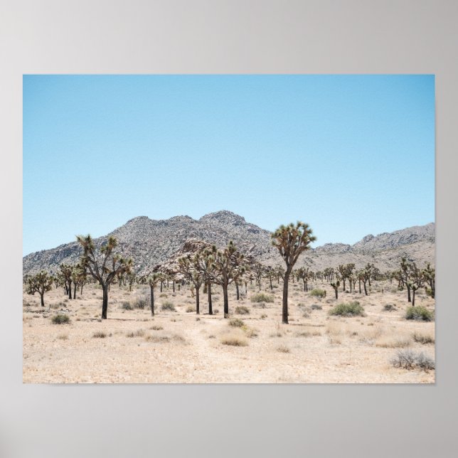 Joshua Tree Park Affisch Poster Papper (Semi-Glans (Framsidan)