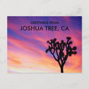 Joshua Tree Rosa Himmel Solnedgång Silhuett Hälsni Vykort