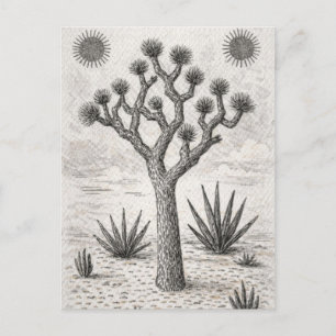 joshua tree skiss öken skiss konst helg vykort