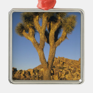 Joshua Tree, Yucca brevifolia), och granit Julgransprydnad Metall
