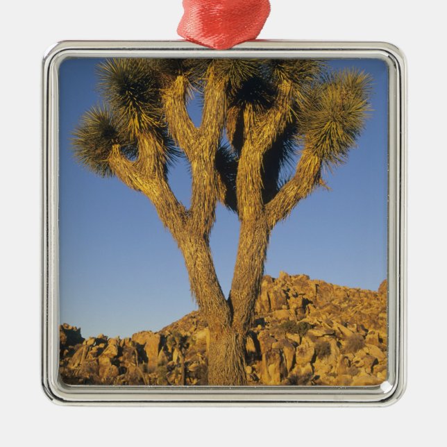 Joshua Tree, Yucca brevifolia), och granit Julgransprydnad Metall (Framsidan)