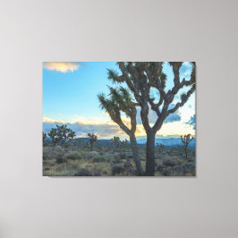 Joshua Trees Landskap vid solnedgång Canvastryck