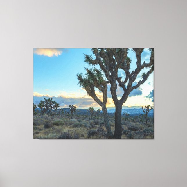 Joshua Trees Landskap vid solnedgång Canvastryck (Framsida)