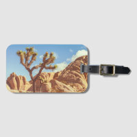 Joshua Trees National Park Landskapsvy