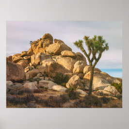 Joshua Trees nationalpark Poster