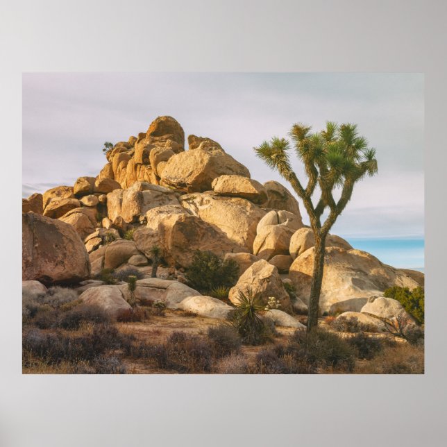 Joshua Trees nationalpark Poster (Framsidan)