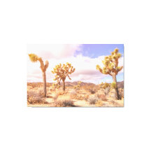 Joshua Trees Ökenlandskap