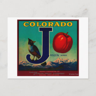 Joslyn Apple Låda Label Vykort
