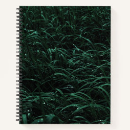 Journal