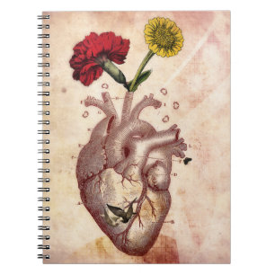 Journal anteckningsbok, spiral, Anatomie 2, hjärt Anteckningsbok