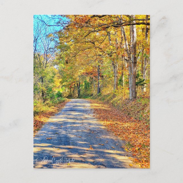 Journey Ahead Vykort (Framsida)