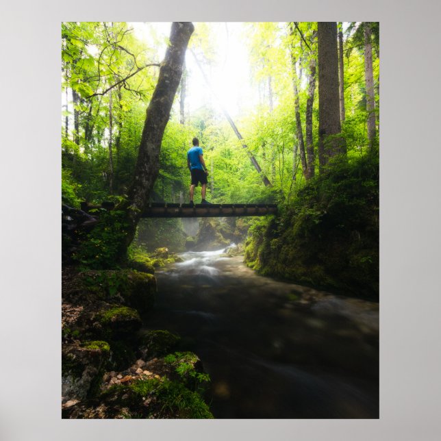 Journey genom magisk skog poster (Framsidan)