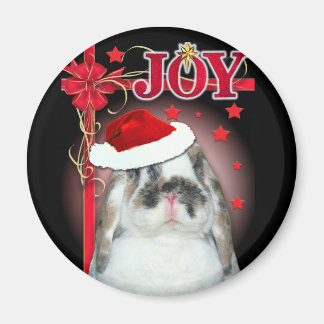 Joy Julafton Magnet