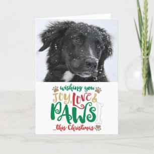 Joy Kärlek Tassar Hund julfoto Helgkort
