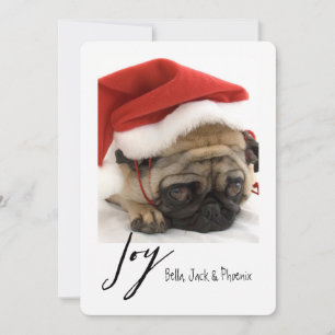 Joy Modern Pet Helgdag Card Julkort
