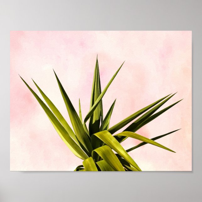 Joy of Dreams Poster (Framsidan)