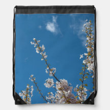 Joy of life! Vår blommar grenar