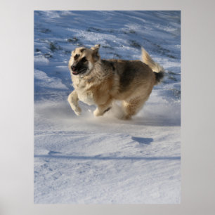 Joy på rörelse poster
