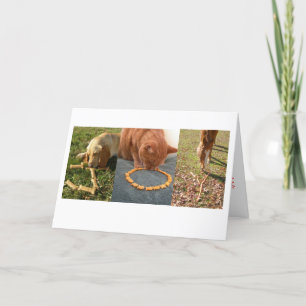 JOY Pets Helgkort