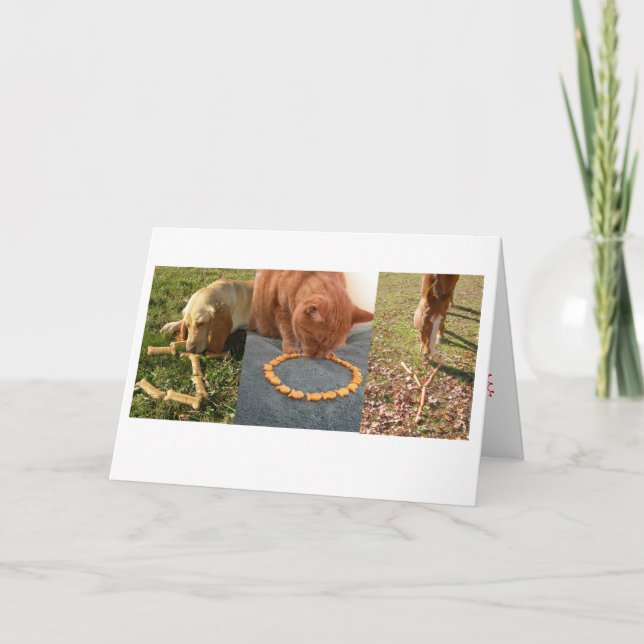 JOY Pets Helgkort (Framsida)