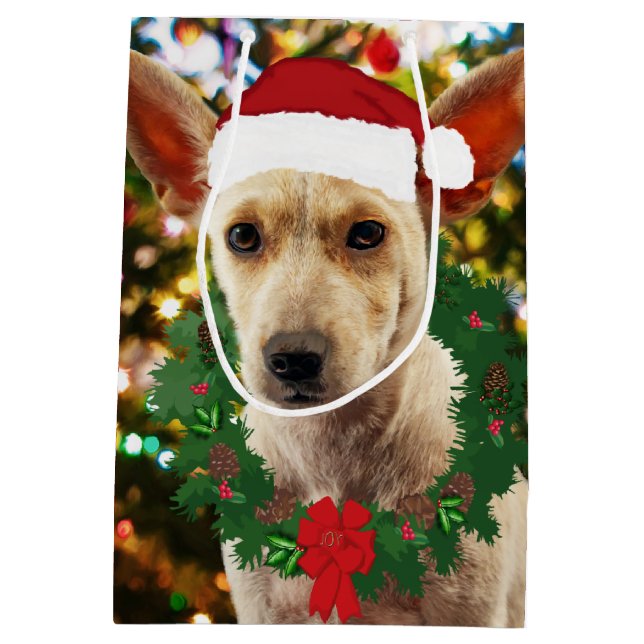 Joy to the Puppy (Baksidan)