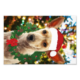 Joy to the Puppy Fototryck