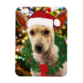 Joy to the Puppy Magnet