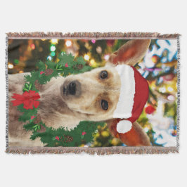 Joy to the Puppy Mysfilt