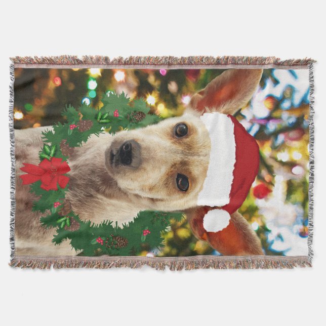 Joy to the Puppy Mysfilt (Framsidan)