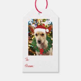 Joy to the Puppy Presentetikett