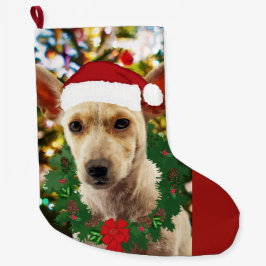 Joy to the Puppy Stor Julstrumpa