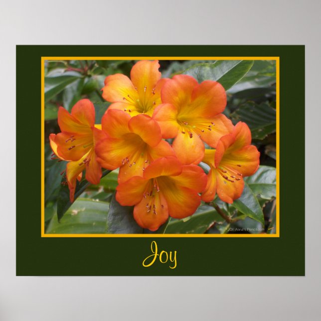 Joy Zen Meditation Orange Flowers Photo Templat Poster (Framsidan)