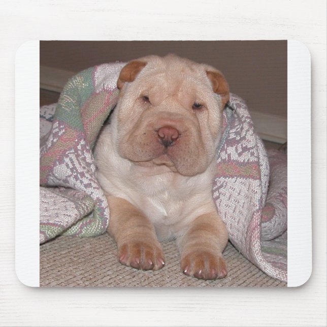 JoyBabyTwo Musmatta (Framsidan)