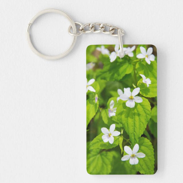 Joyce Kilmer-Slickrock Wilderness (Framsidan)