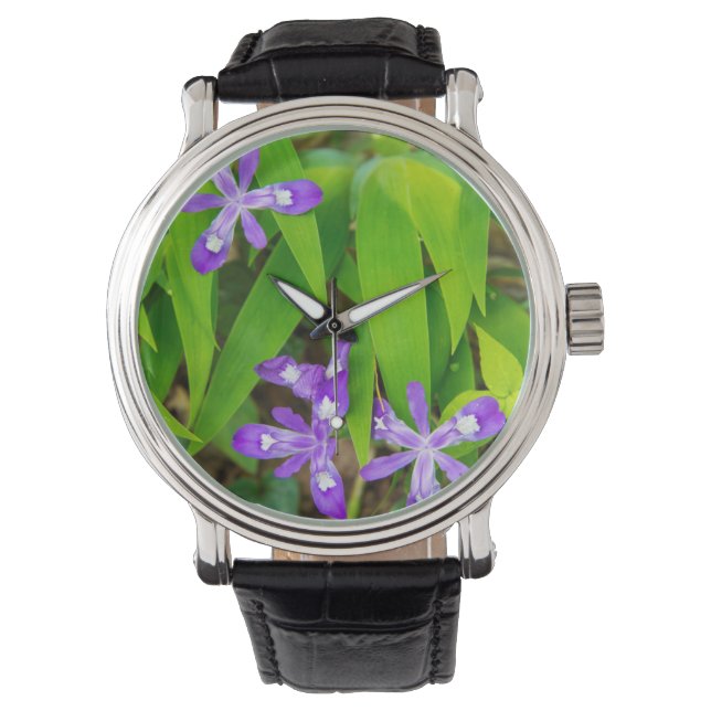Joyce Kilmer-Slickrock Wilderness 2 Armbandsur (Framsida)
