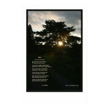 Joyce Kilmer Träd 24x36