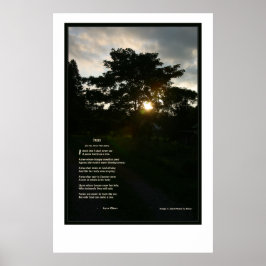 Joyce Kilmer Träd 24x36 Poster