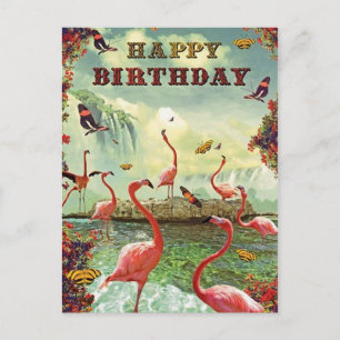 Joyeux anniversaire flamands rosor vykort