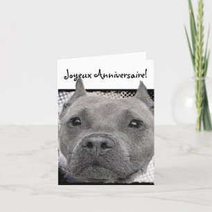 Joyeux Anniversaire Pitbull Hund Greeting-kort Kort