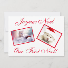 Joyeux Noel Best Friends Pets First Noel Card Julkort