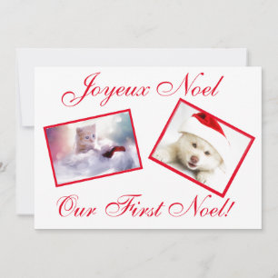 Joyeux Noel Best Friends Pets First Noel Card Julkort