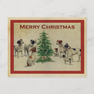 Joyeux Noël chiens Vykort