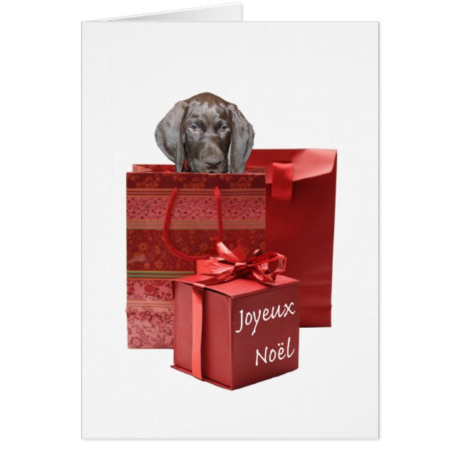 Joyeux Noël german shorthar pointer puppy Hälsningskort (Framsidan)