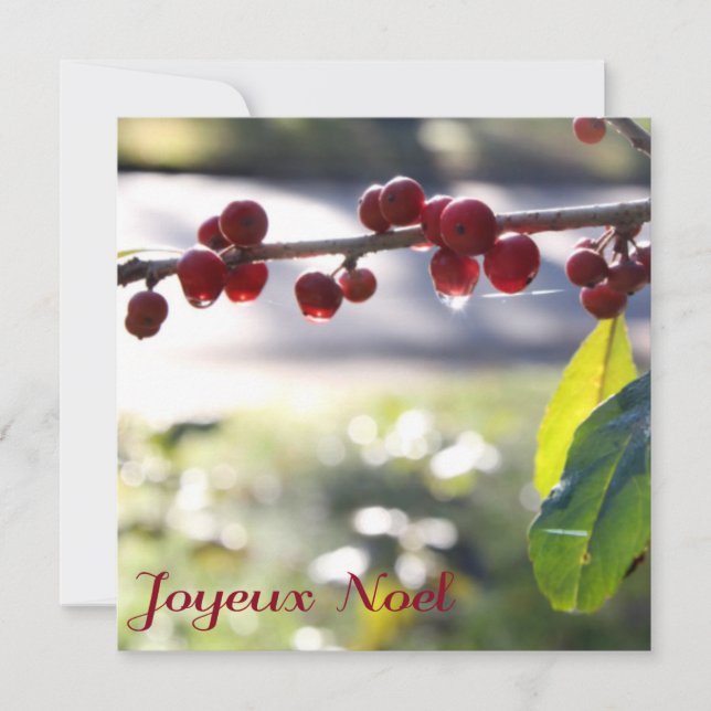 Joyeux Noel Square Card Julkort (Framsida)