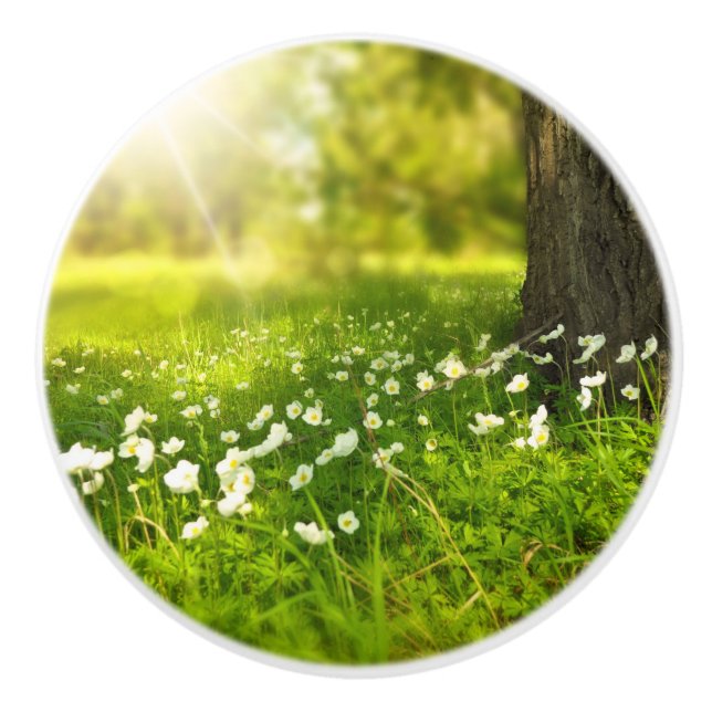 Joys of Vår Knopp (Framsidan)