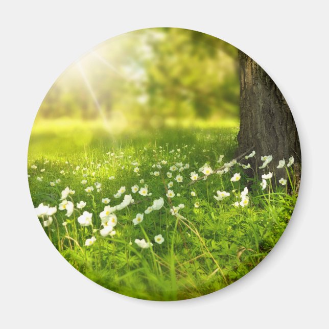 Joys of Vår Magnet (Framsidan)