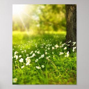 Joys of Vår Poster