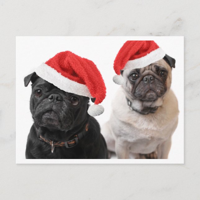 Jristmas pugs helg vykort (Framsida)